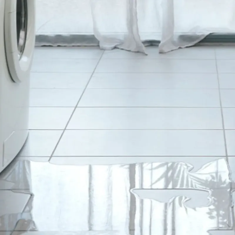 Appliance Leak Cleanup in Atlanta, TX