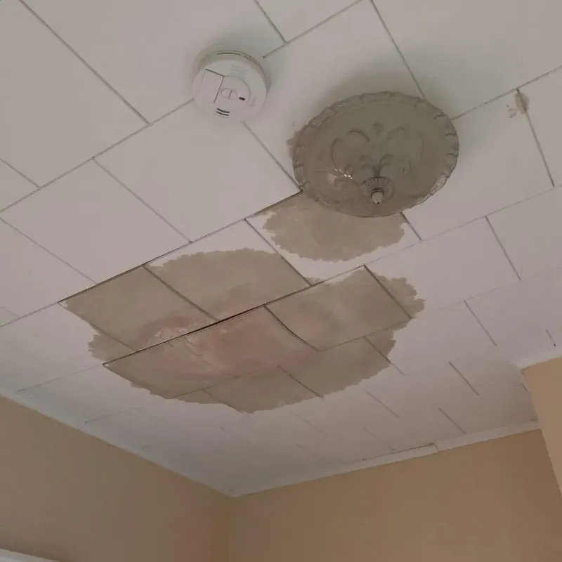 Ceiling Water Damage Repair in Atlanta, TX