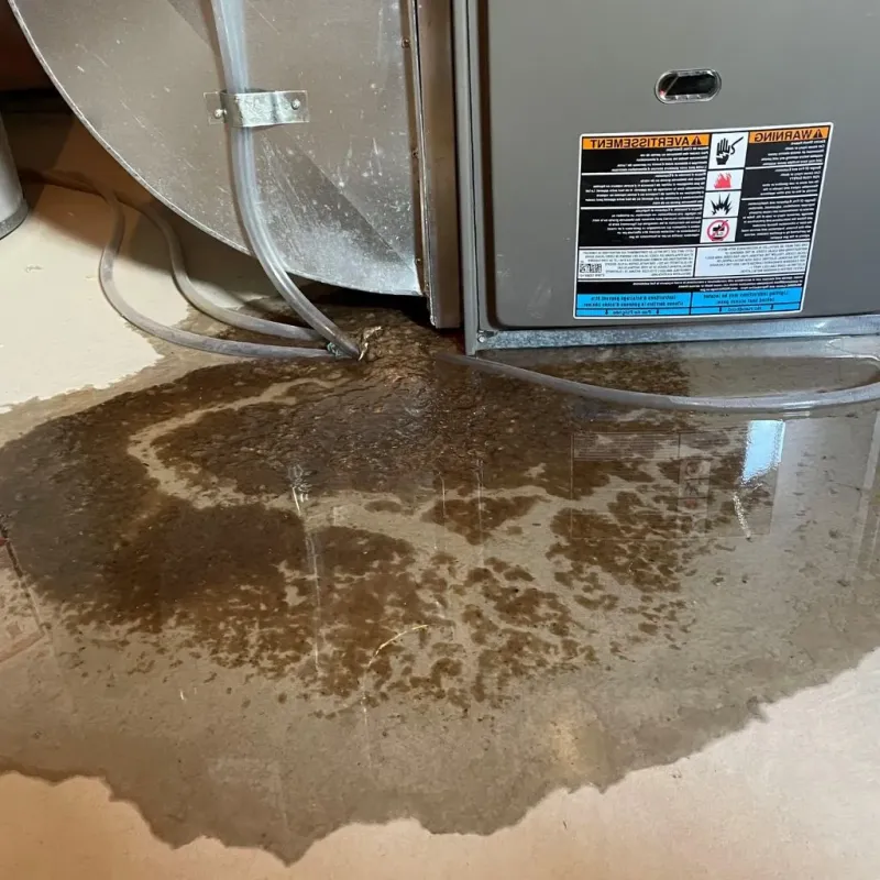 Pipe Burst and Leak Restoration in Atlanta, TX